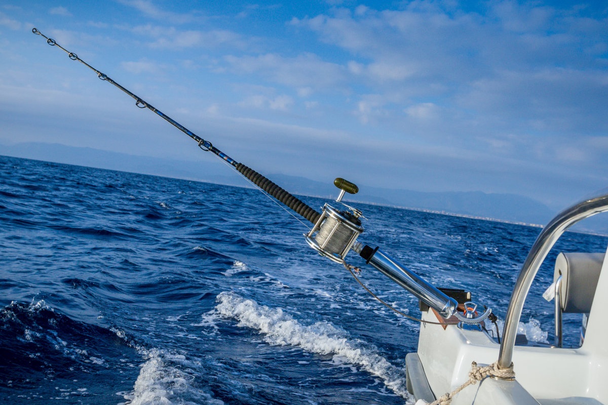 Robuster, um 360 Grad verstellbarer Rutenhalter